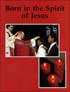 Born in the Spirit of Jesus: Confirmation, Jr. High – OSV Curriculum
