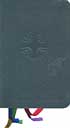 The Liturgy of the Hours: Volume I Advent-Christmas, blue vinyl