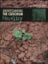 Understanding the Catechism: Morality Catechist Guide