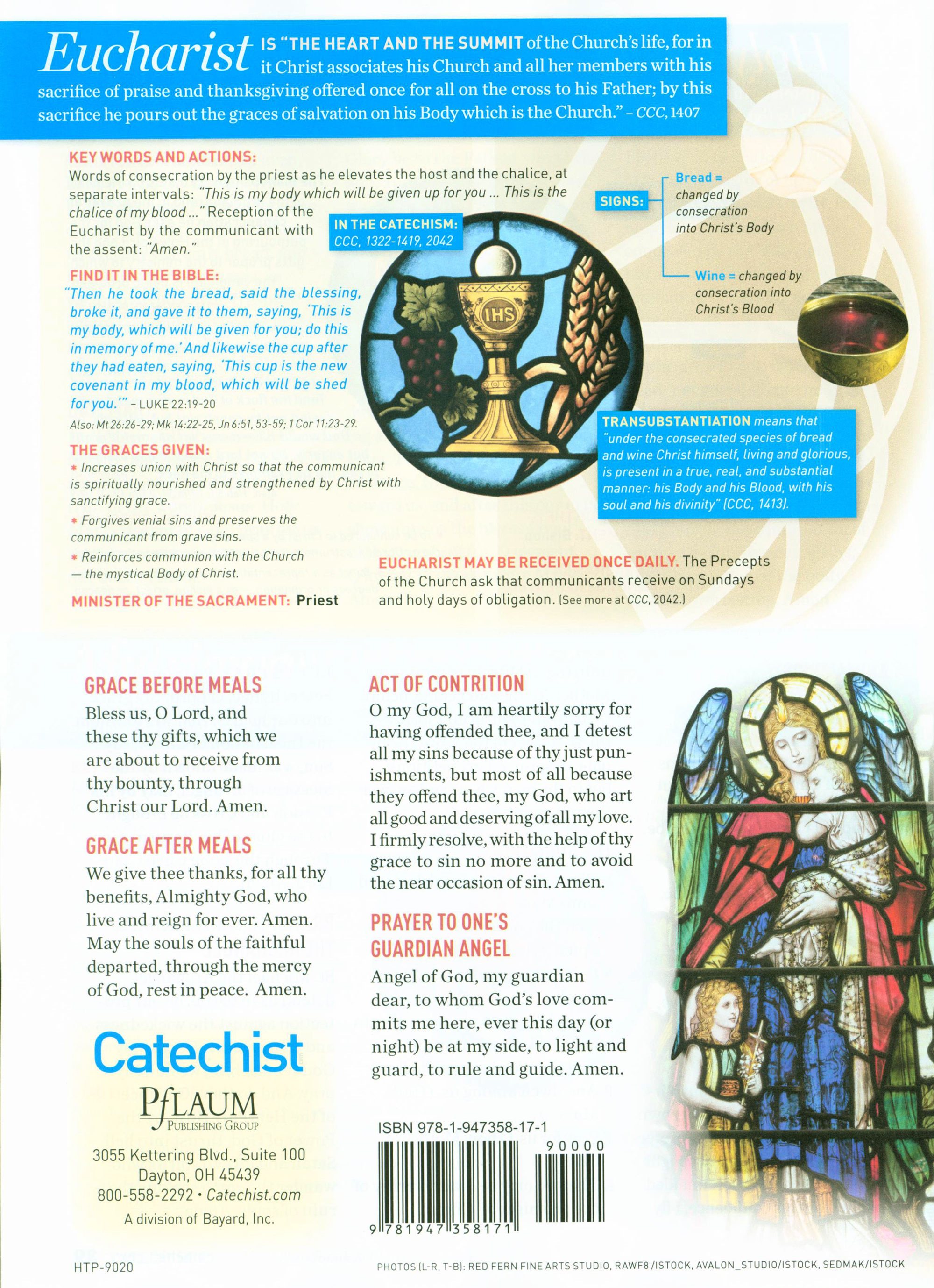 Catechist Handbook and Planning Guide 20192020 Sacraments The Faith Cele…