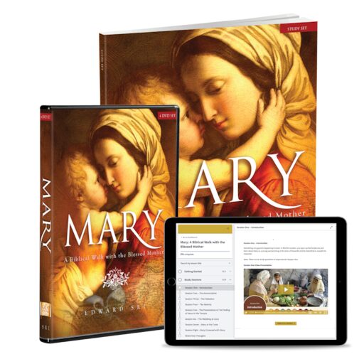 Mary: A Biblical Walk with the Blessed Mother: Starter Pack, English