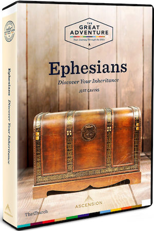 Ephesians 2019: DVD Set