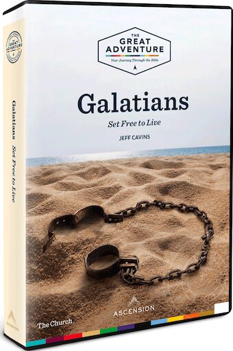 Galatians 2019: DVD Set