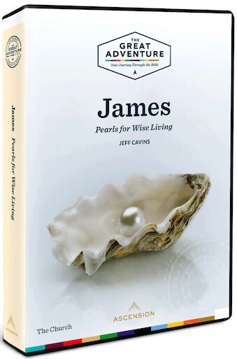 James 2019: DVD Set