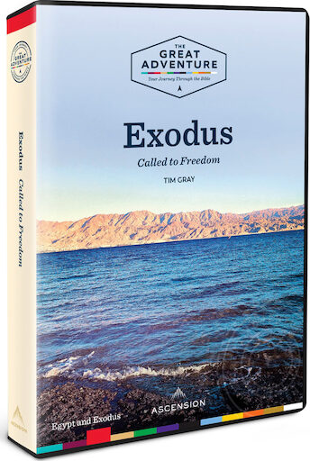 Exodus 2019: DVD Set
