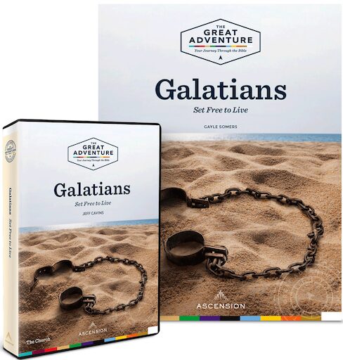 Galatians 2019: Starter Pack