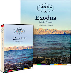 Exodus 2019: Starter Pack