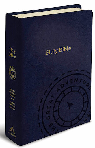 RSV, The Great Adventure Catholic Bible, leather-like