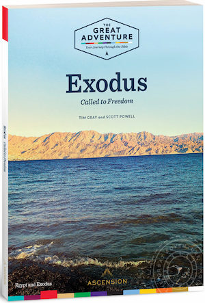 Exodus 2019: Participant Workbook