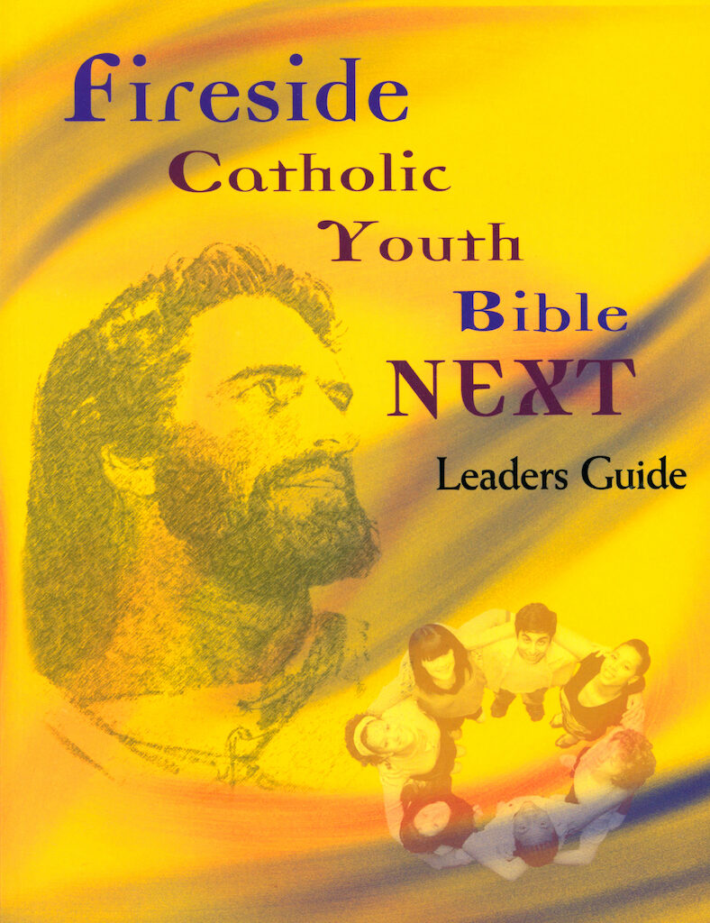 NABRE, Fireside Catholic Youth Bible Fireside Catholic Youth Bible,