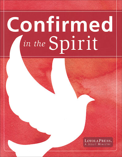 Confirmed in the Spirit: Candidate Book, Paperback, English