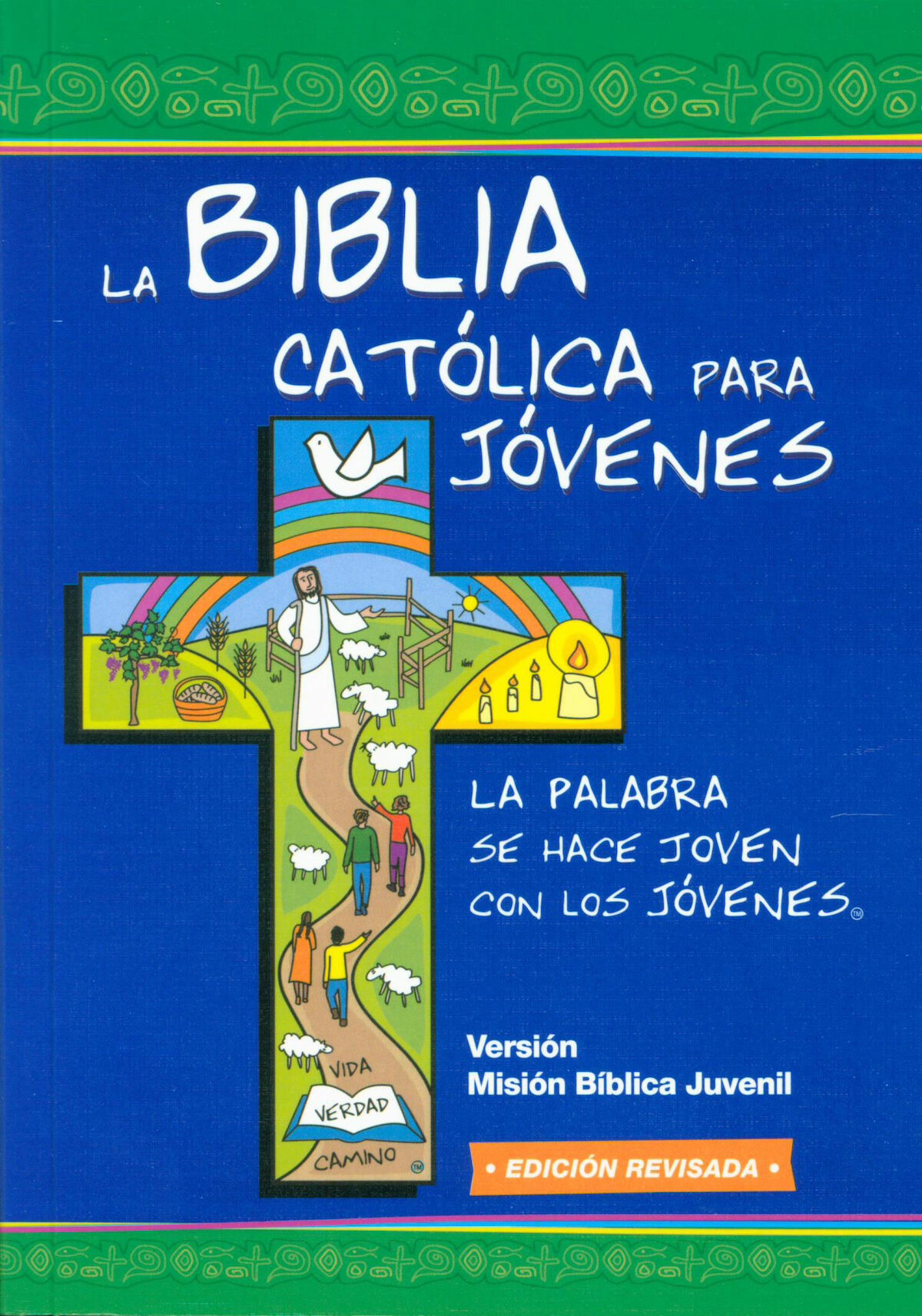suma Calificación acantilado La Biblia Católica para Jóvenes, Junior, 2nd Edition, softcover — Min…