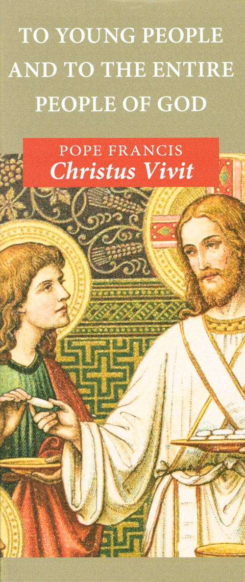 christus vivit pamphlet 50 pack comcenter com catholic school pamphlet sample