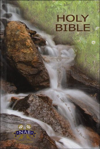 NABRE, Catholic Student Edition, hardcover