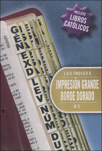 Bible Indexing Tabs: Etiquetas de Indizacion para biblias, Large Print, 10-pack, Spanish
