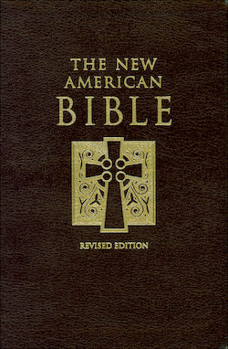 NABRE, The New American Bible, leather